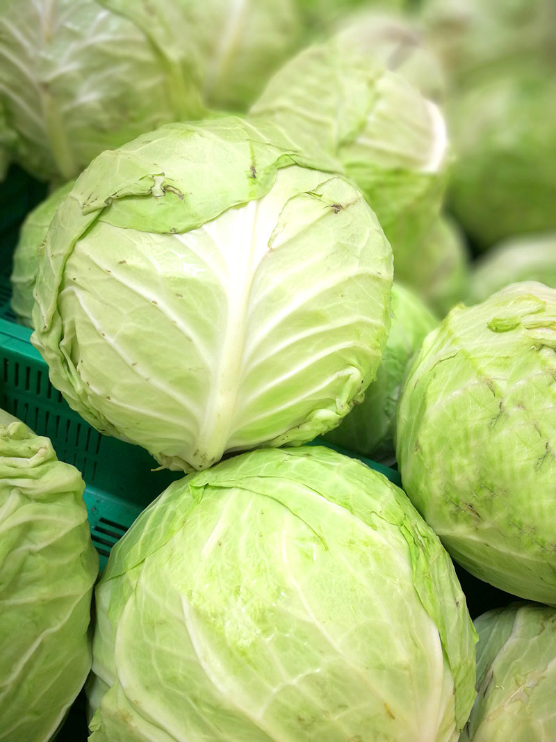 Cabbage Is a Source of Nutrients
