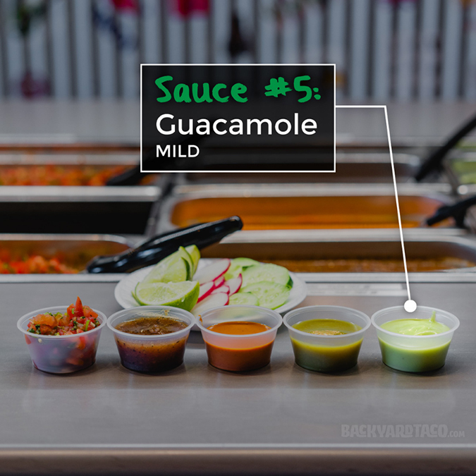 Guacamole Salsa